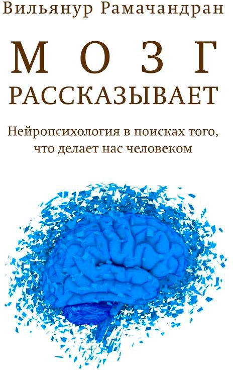 

Мозг рассказывает. Что делает нас людьми (920269)