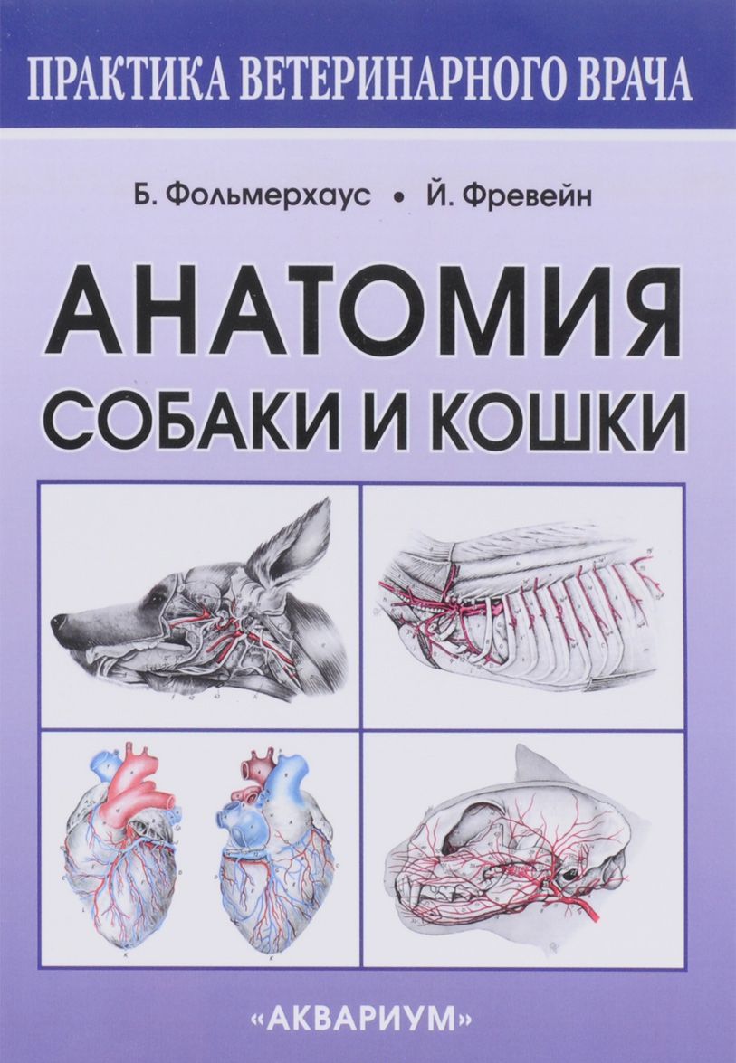 

Анатомия собаки и кошки. Руководство (1284463)