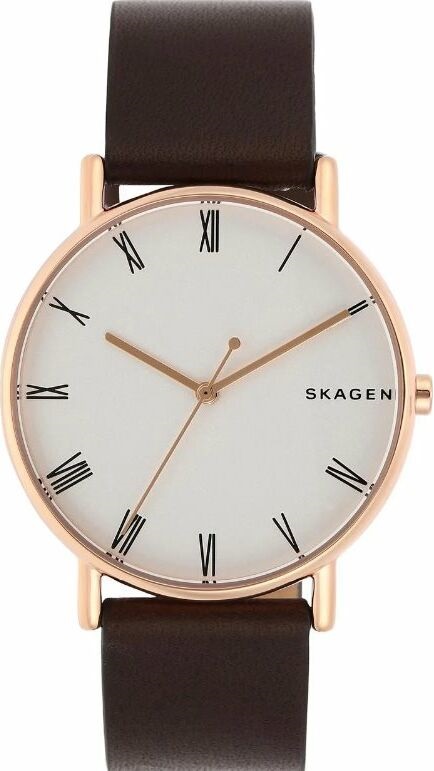 

Мужские наручные часы SKAGEN SKW6493