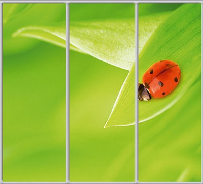 

Шкаф купе Luxe Studio Стандарт-1 Фотопечать Природа-90 2100x2100x600 трехдверный