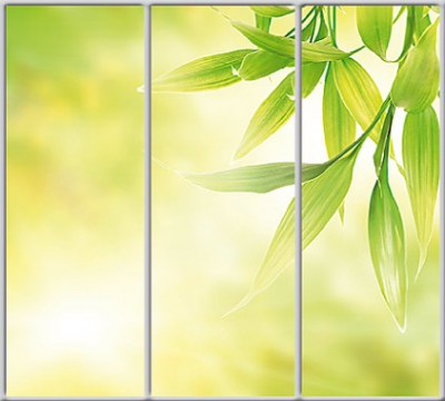 

Шкаф купе Luxe Studio Стандарт-1 Фотопечать Природа-34 2100x2200x600 трехдверный