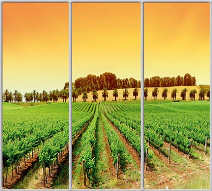 

Шкаф купе Luxe Studio Стандарт-1 Фотопечать Природа-185 2100x2400x600 трехдверный