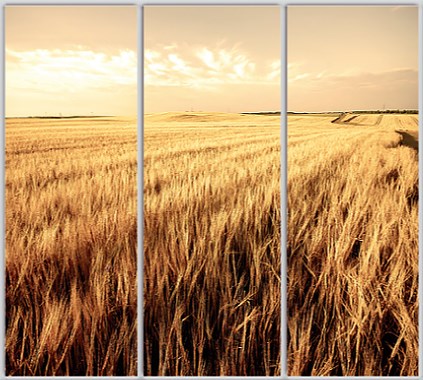 

Шкаф купе Luxe Studio Стандарт-1 Фотопечать Природа-128 2100x2200x600 трехдверный