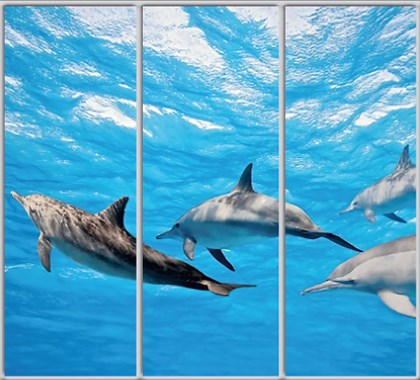 

Шкаф купе Luxe Studio Стандарт-1 Фотопечать Животные-38 2100x2200x600 трехдверный