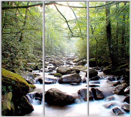 

Шкаф купе Luxe Studio Стандарт-1 Фотопечать Природа-133 2100x2200x600 трехдверный