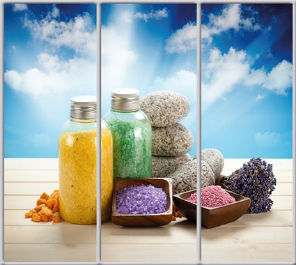 

Шкаф купе Luxe Studio Стандарт-1 Фотопечать Салон красоты-17 2100x2300x600 трехдверный