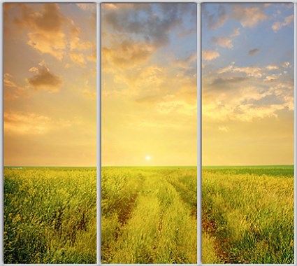 

Шкаф купе Luxe Studio Стандарт-1 Фотопечать Природа-160 2100x2100x600 трехдверный