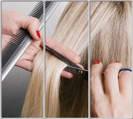 

Шкаф купе Luxe Studio Стандарт-1 Фотопечать Салон красоты-2 2100x2100x600 трехдверный