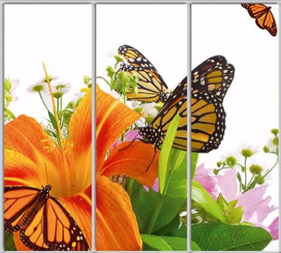 

Шкаф купе Luxe Studio Стандарт-1 Фотопечать Природа-52 2100x2000x600 трехдверный