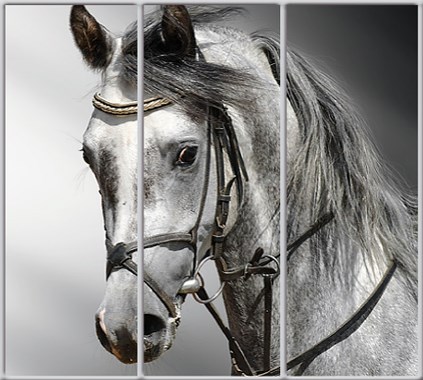 

Шкаф купе Luxe Studio Стандарт-1 Фотопечать Животные-53 2100x2300x600 трехдверный