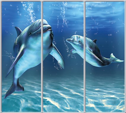 

Шкаф купе Luxe Studio Стандарт-1 Фотопечать Животные-37 2100x2300x600 трехдверный