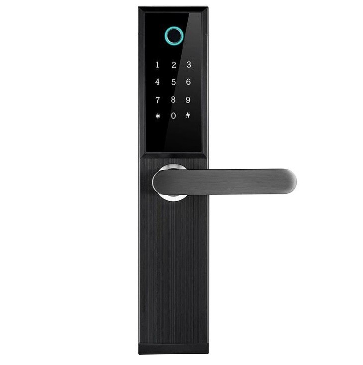 

Умный замок Qleung S845 Black