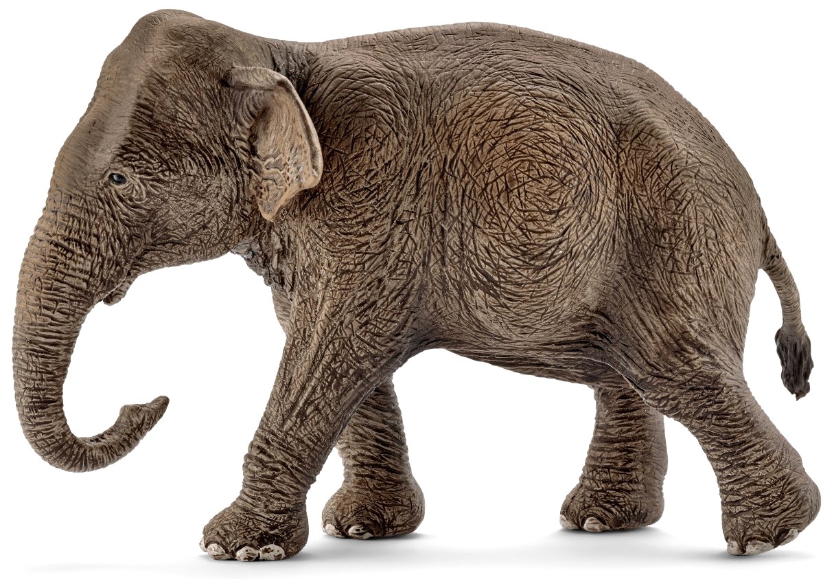 

Фигурка Schleich Азиатский слон самка (14753)