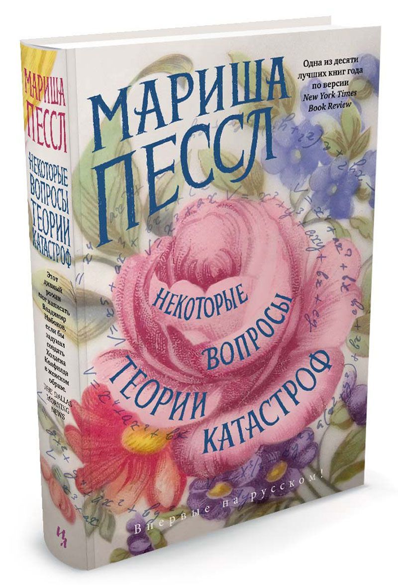 

Некоторые вопросы теории катастроф