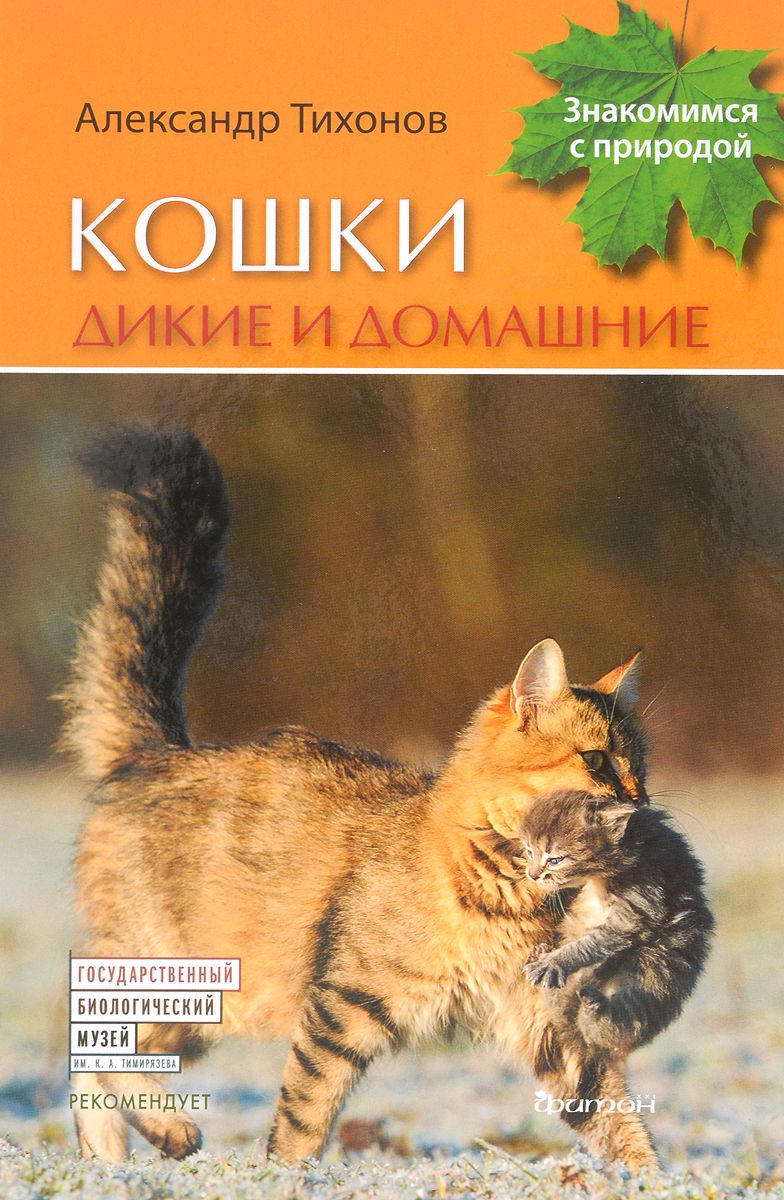 

Кошки дикие и домашние