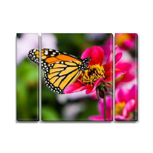 

Модульная картина Декоинт Животные 75x100см. Холст натуральный