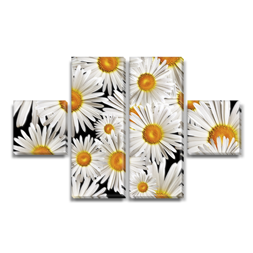 

Модульная картина Декоинт Цветы 65x110см. Холст синтетический