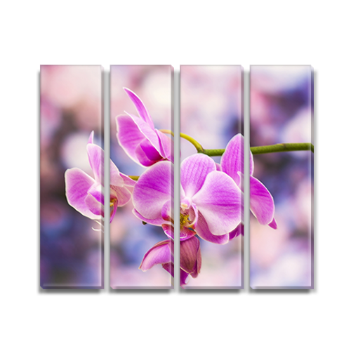 

Модульная картина Декоинт Цветы 65x80см. Холст синтетический