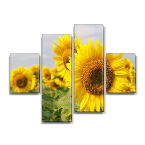 

Модульная картина Декоинт Природа 65x80см. Холст натуральный