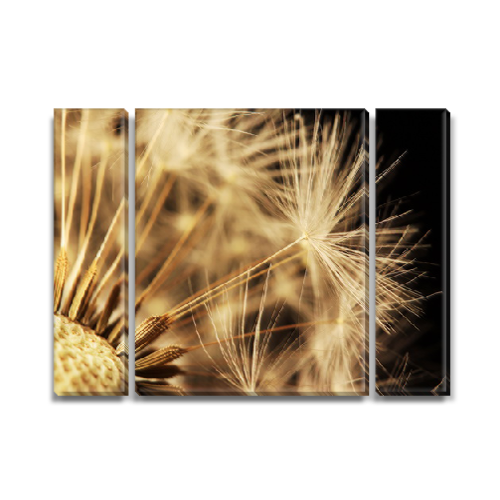 

Модульная картина Декоинт Макро 80x110см. ПВХ ткань