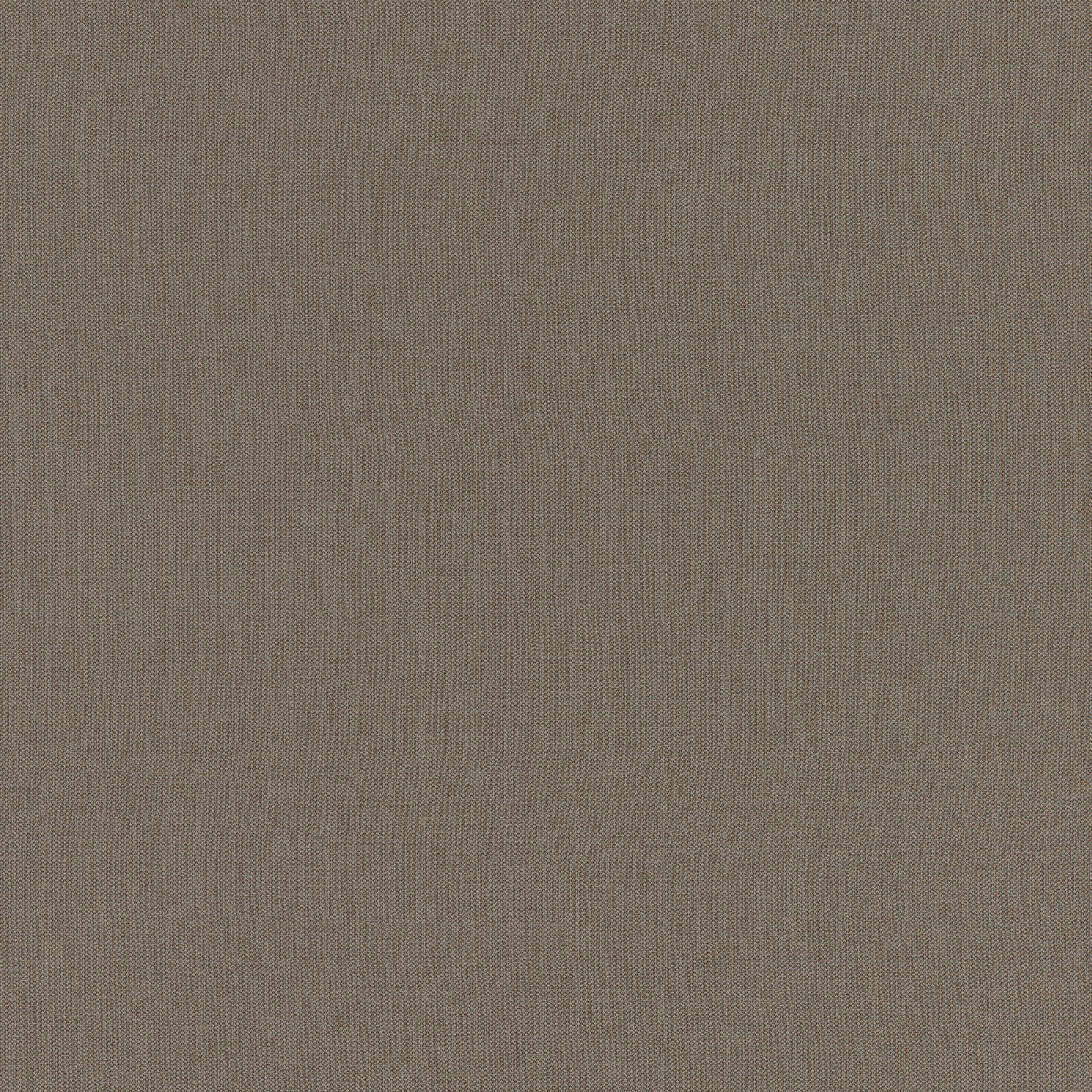 

Виниловые обои на флизелиновой основе 0.53*10.05 Rasch Poetry 423990