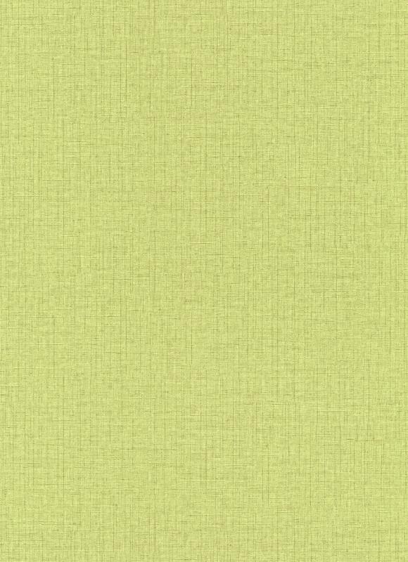 

Виниловые обои на флизелиновой основе Erismann Paradisio 2 10140-07