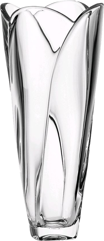 

Ваза Bohemia Globus 35.5 см (b8KE64-99M87-2)