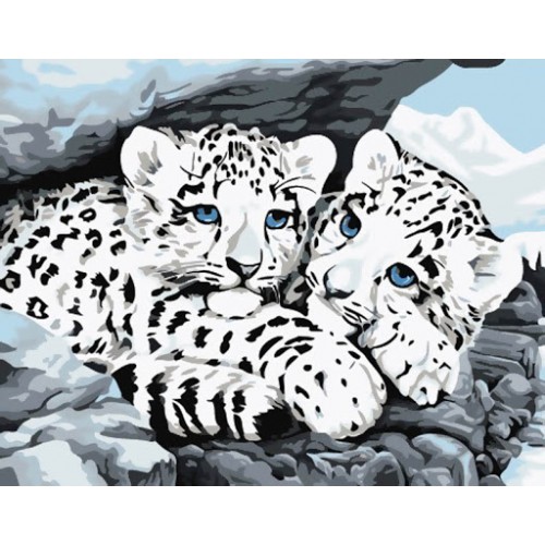 

Картина по номерам Голубоглазые котята 40х50см в коробке Dreamtoys 690