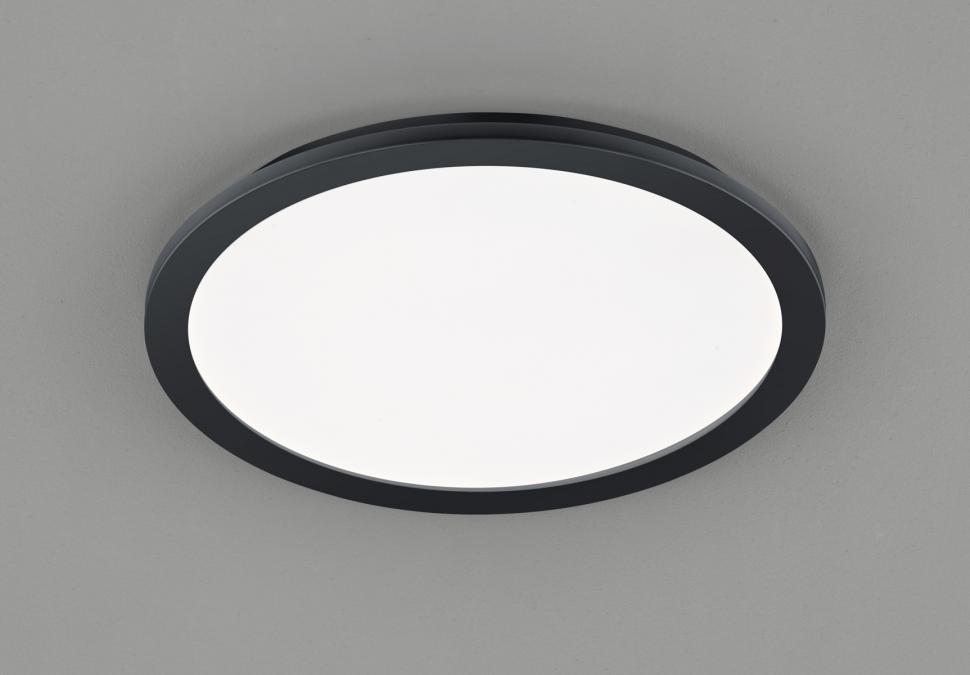 

Потолочный светильник Trio Reality R62922432 CAMILLUS