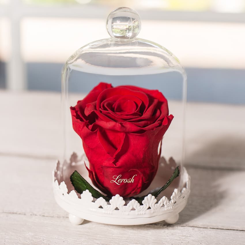 

Стабилизированный бутон роза в колбе Lerosh - Standart, Красный