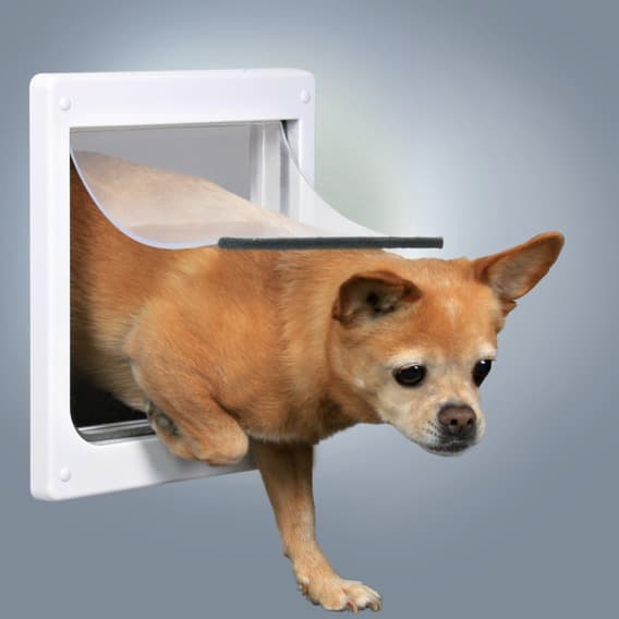 

Дверца для собак и кошек Trixie "FreeDog" XS-S пластиковая, белая, 2 положения