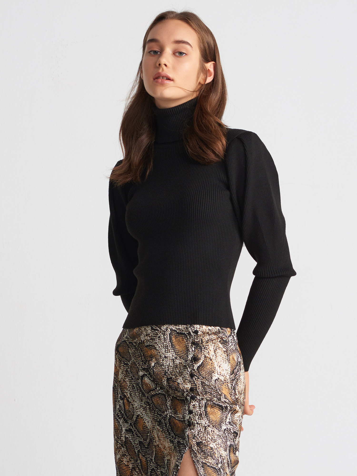 

Гольф Dilvin T2479  Черный, Гольф Dilvin T2479 One size Черный