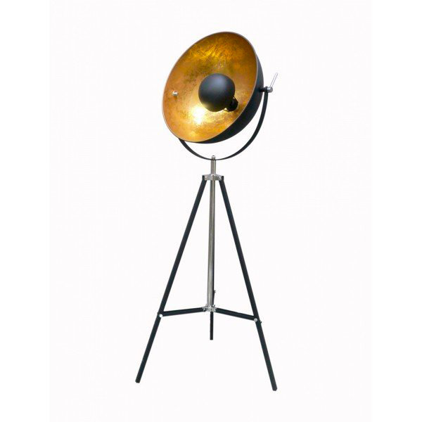 

Торшер Zuma Line Antenne TS-090522F-BK