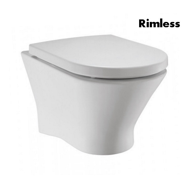 

Подвесной унитаз с крышкой Roca Nexo Clean Rimless (A34H64L000)