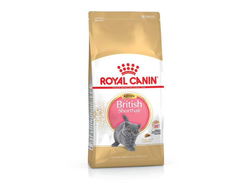 

Сухой корм для котов Royal Canin British Shorthair Kitten 2 кг