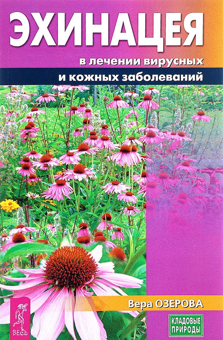 

Эхинацея в лечении вирусных и кожных заболеваний