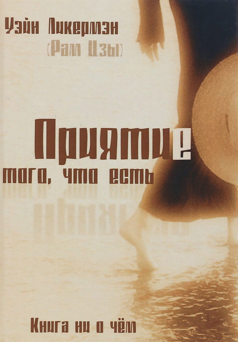 

Приятие того, что есть. Книга ни о чем