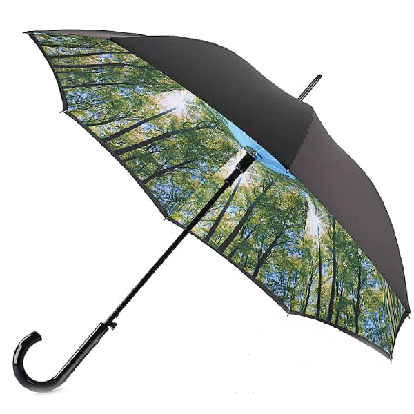 

Зонт Fulton Bloomsbury-2 L754-036600 Sunburst