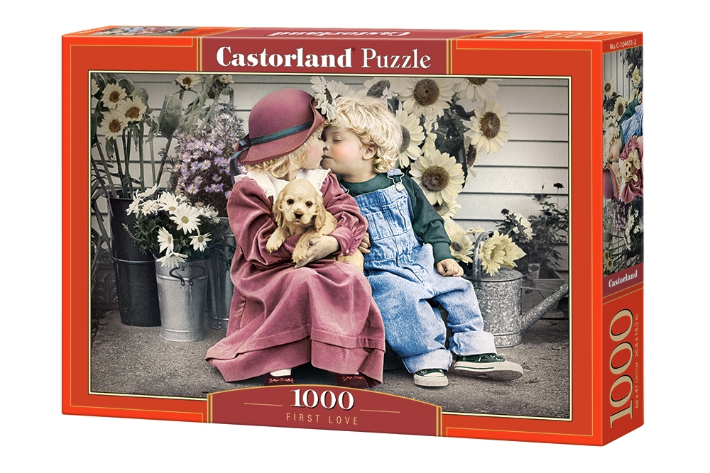 

Пазлы Castorland 1000 эл. Первая любовь (C-104451)