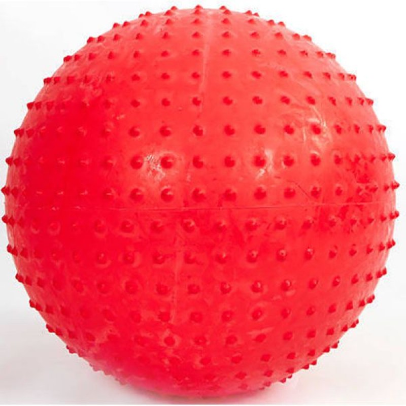 

Мяч для фитнесса FitGo ExerciseBall 750 мм, код: FI-078-75