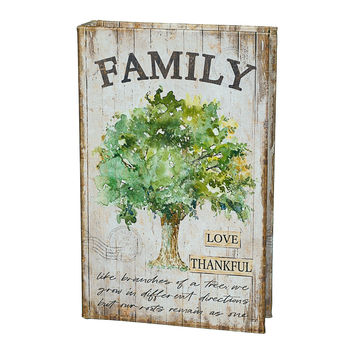 

Сейф-книга Family 26х17х5 см Veronese AL78335