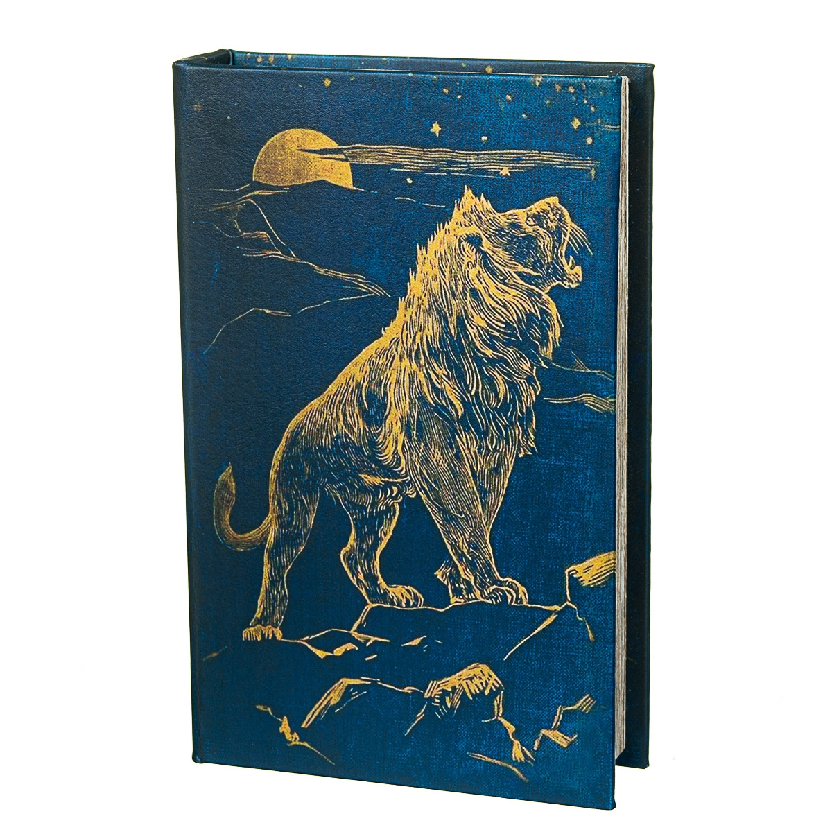 

Сейф-книга Lion 26х17х5 см Veronese AL78336
