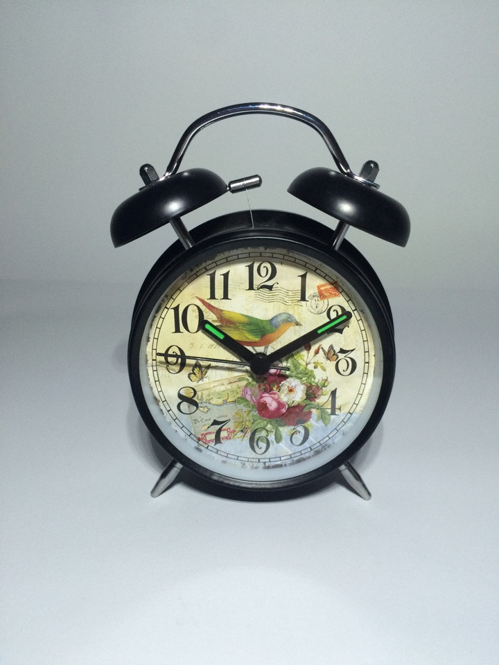 

Настольные часы с будильником «Harli Bird» Luminova SK17343