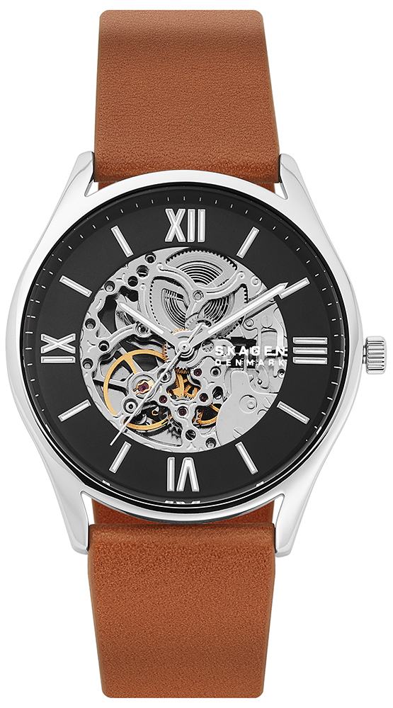 

Мужские часы Skagen SKW6613