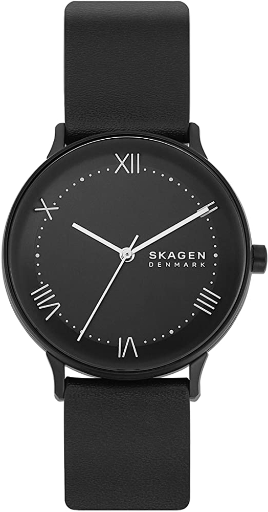 

Мужские часы Skagen SKW6623