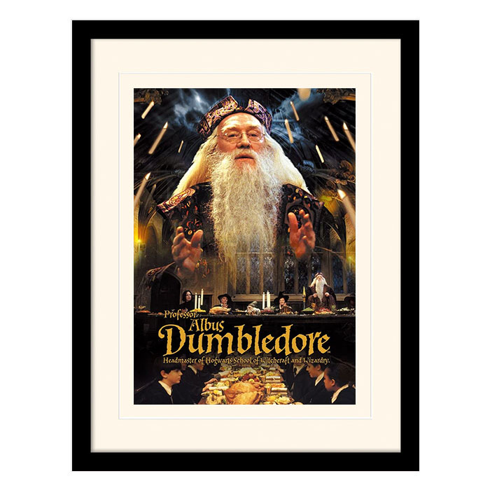 

Постер в раме "Harry Potter " 30 x 40 см