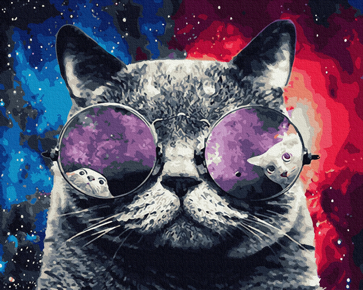 

Картина по Номерам Космический кот 40х50см RainbowArt GX27976