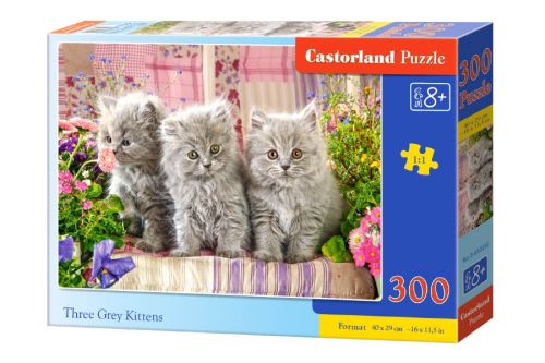 

Пазлы Castorland "Котята" 300 элементов B-030330 91694