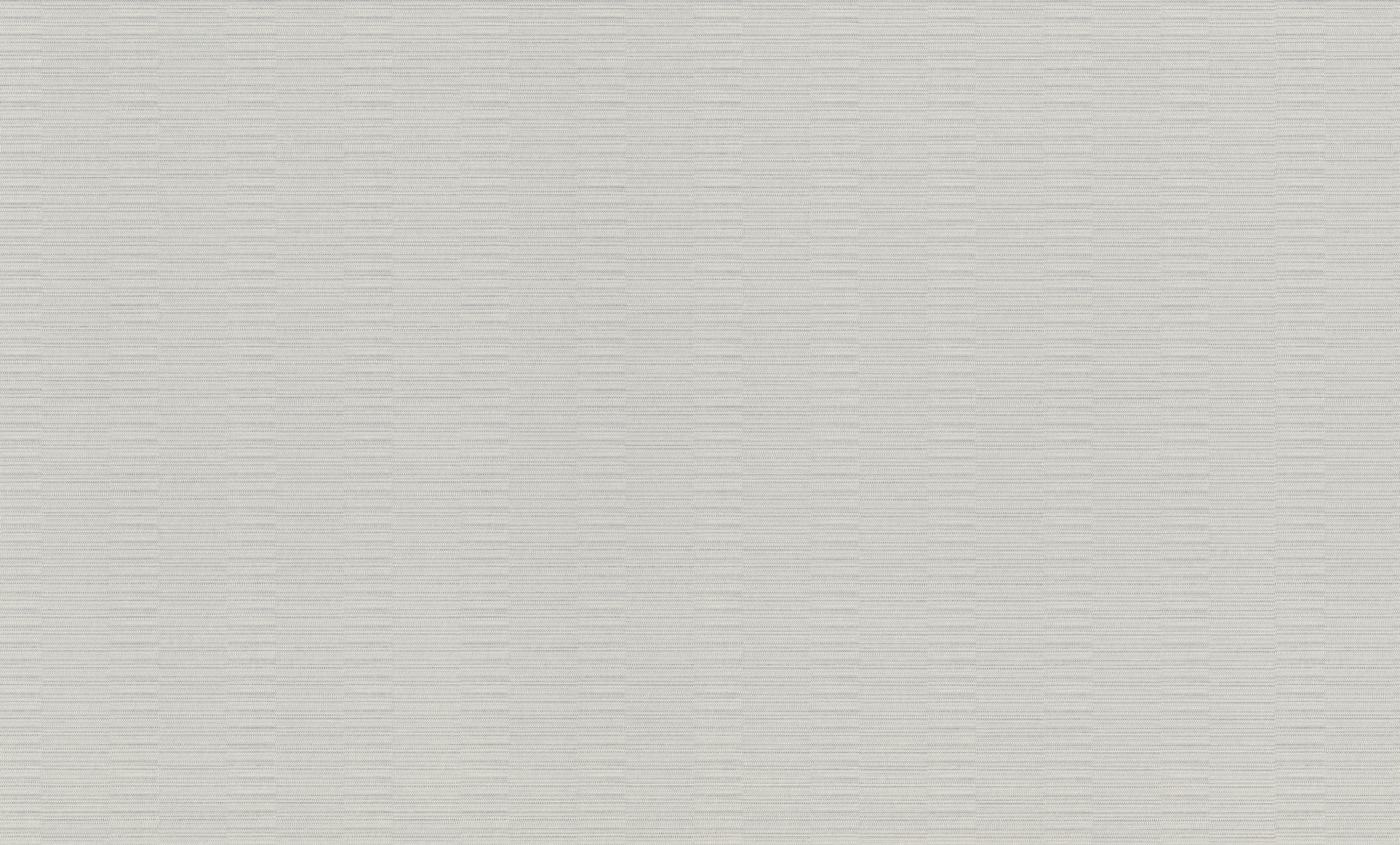 

Виниловые обои на флизелиновой основе Rasch Axiom 960921