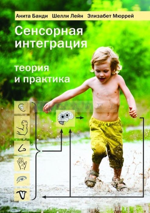 

Сенсорная интеграция. Теория и практика
